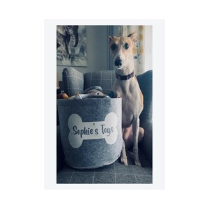 Op de afbeelding: Een grijze vilten speelgoedmand voor honden met een witte botvorm en de tekst "Sophie's Toys" erop. Een tan en witte hond zit naast de mand.