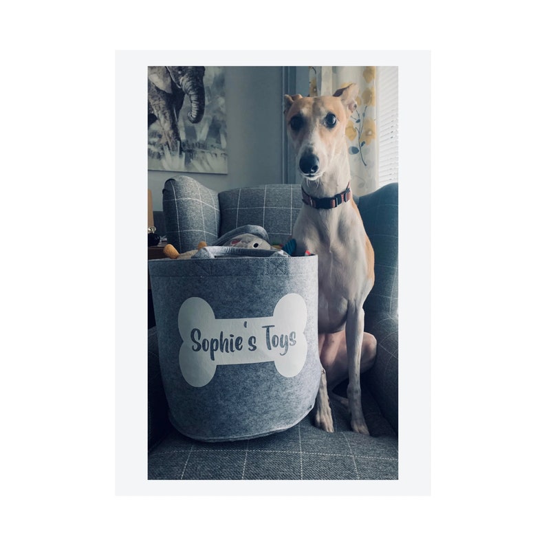 Op de afbeelding: Een grijze vilten speelgoedmand voor honden met een witte botvorm en de tekst "Sophie's Toys" erop. Een tan en witte hond zit naast de mand.