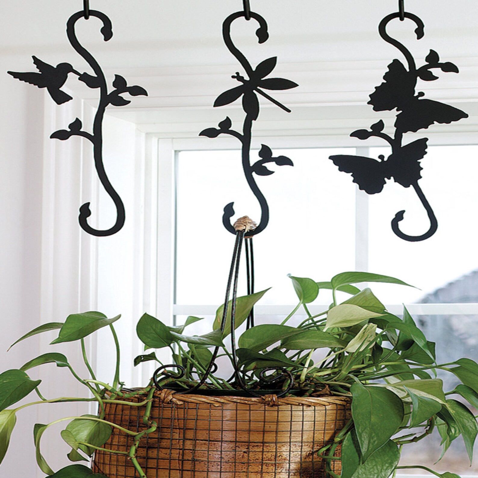 Decorative S Hook Plant Hangers Etsy