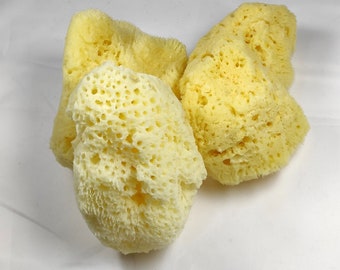 2 items Natural Greek Fina Silk Sea Sponge 3.50" inches(9.0cm) - Kalymnos Bath Shower