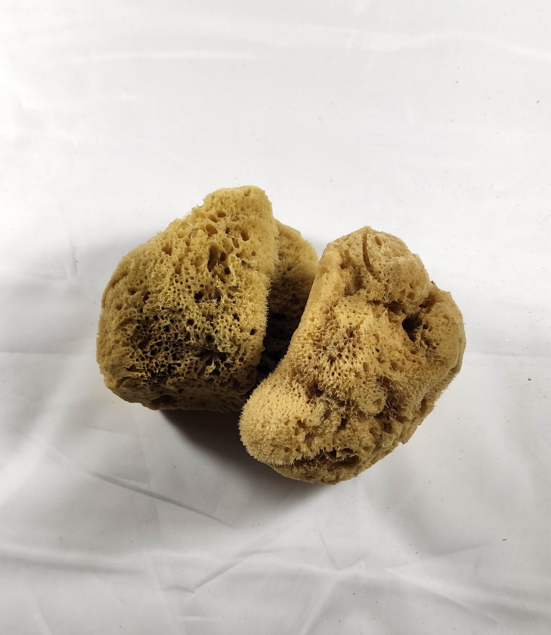 2 Items Natural Kalymnos Greek Sea Sponge 4 Inches 10.0cm Etsy