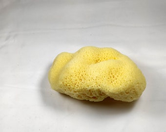 Natural Greek Fina Silk Sea Sponge 4.50" inches (11.5cm)- Kalymnos Bath Shower