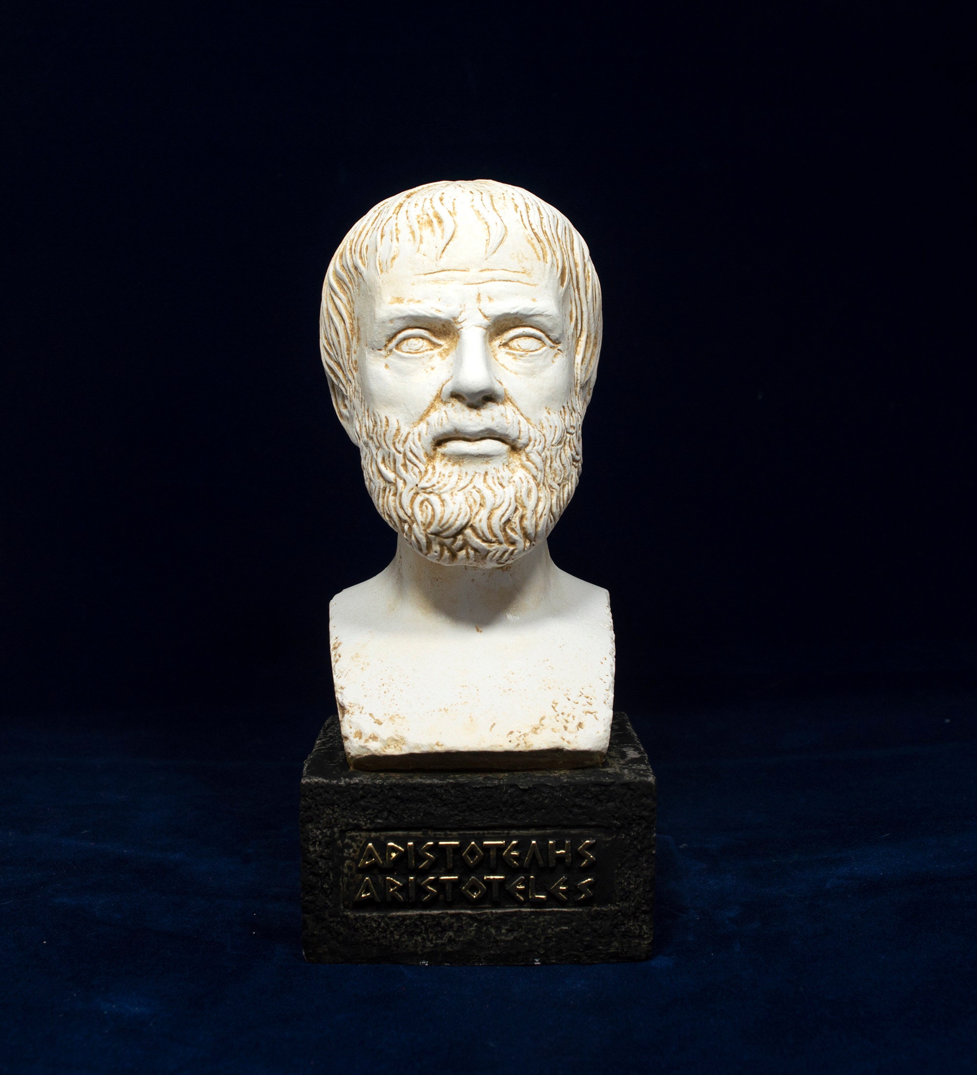 Pop Art Sculpture, Aristotle Statue, Street Art, Ancient Greek Statue