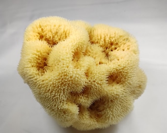 Natural Greek Fina Silk Sea Sponge 5.0"-5.50" inches(12-14cm) - Kalymnos Bath Shower