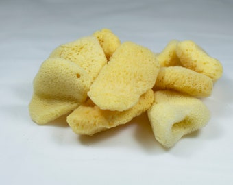 Natural Sea Greek "elephant-ear" Sponges 1.5" - Cosmetic Face Eyes Beauty