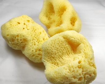 3 items Natural Greek Fina Silk Sea Sponge 4" inches (10cm)- Kalymnos Bath Shower