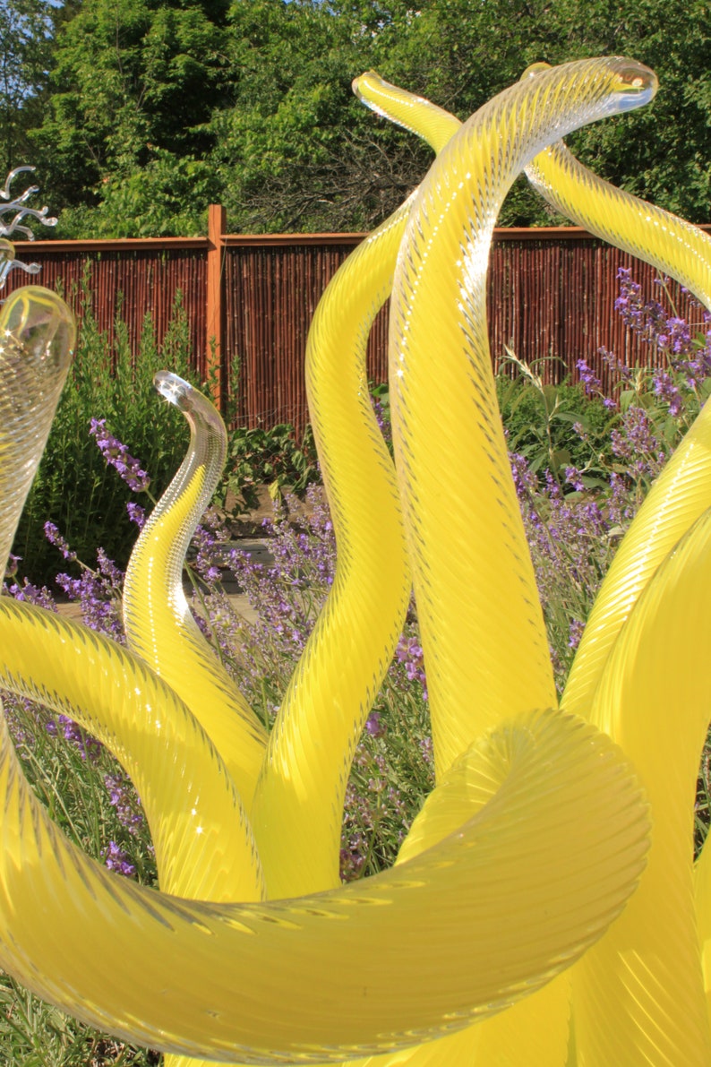 Dale Chihuly stijl Chartreuse handgeblazen glazen tuinsculptuur, glazen tuinkunst, buitenglaskunst, prachtige glazen tuinkunst, modern glas afbeelding 4