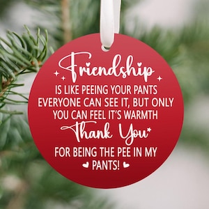 Friendship Ornament, funny friendship ornament, Christmas ornament