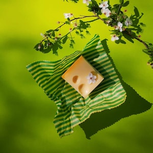 Reusable beeswax food wrap -  Eco friendly gift - medium wrap - 12x12