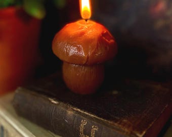 Vela de Cera de Abelha com Aroma de Cogumelo Boletus: Cera de Abelha Natural, Aroma de Mel