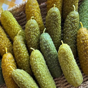 Puede incluir: Una colección de velas con forma de pepinillo con superficies texturizadas y rugosas en varios tonos de verde y verde amarillento. Cada vela presenta una mecha amarilla pequeña y fina en la parte superior, dispuesta en una cesta tejida clara.