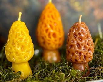 Conjunto de velas de cera de abelha com aroma de cogumelo morel: cera de abelha natural, aroma de mel