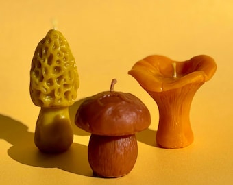 Conjunto de velas de cera de abelha em formato de cogumelo: Cera de abelha natural, aroma de mel