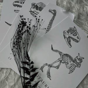 DINOSAUR PRINTS / Allosaurus / Carnotaurus / brachiosaurus / Dilophosaurus