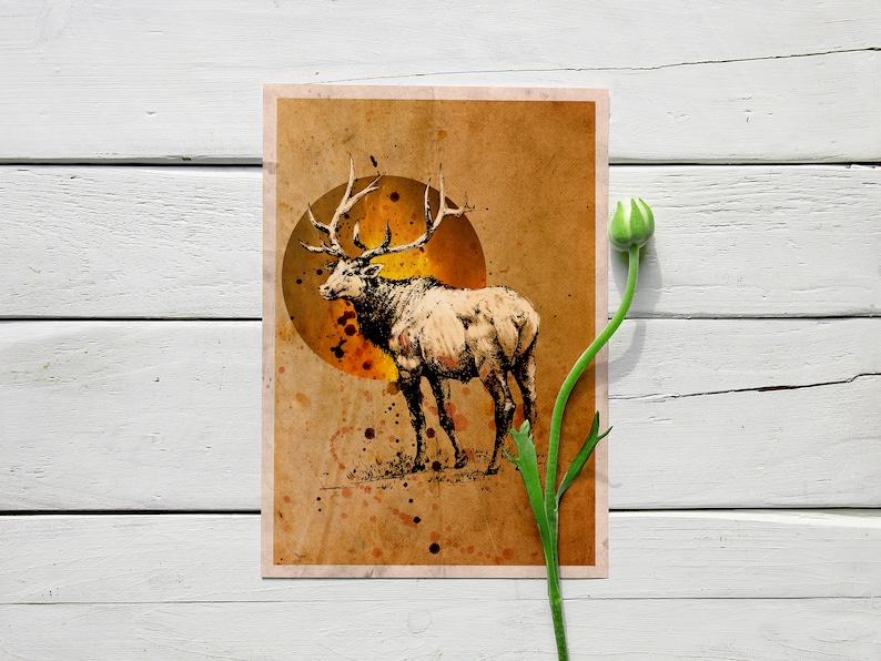 whitetail deer wall decor