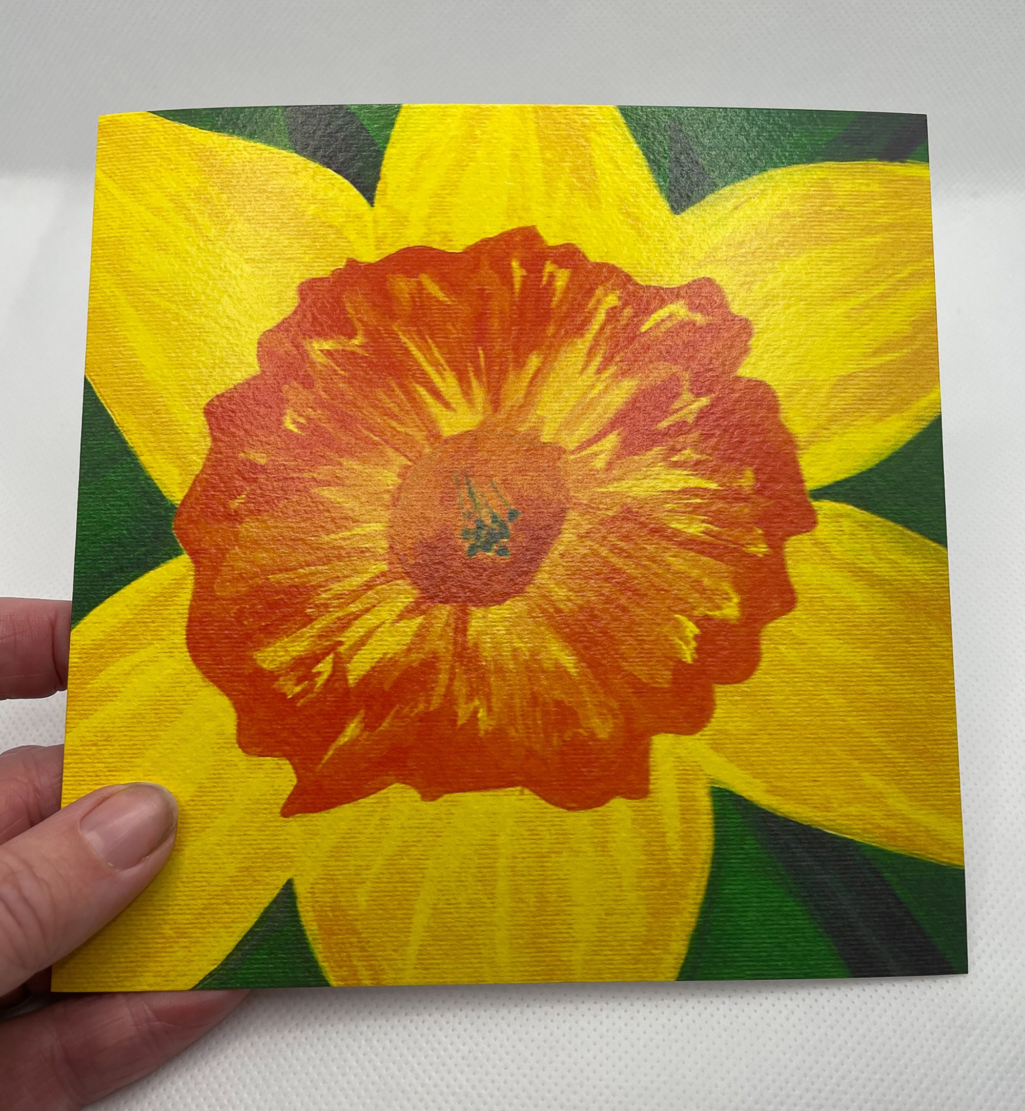 Daffodil Card, Blank Card, Yellow Flower Card Etsy