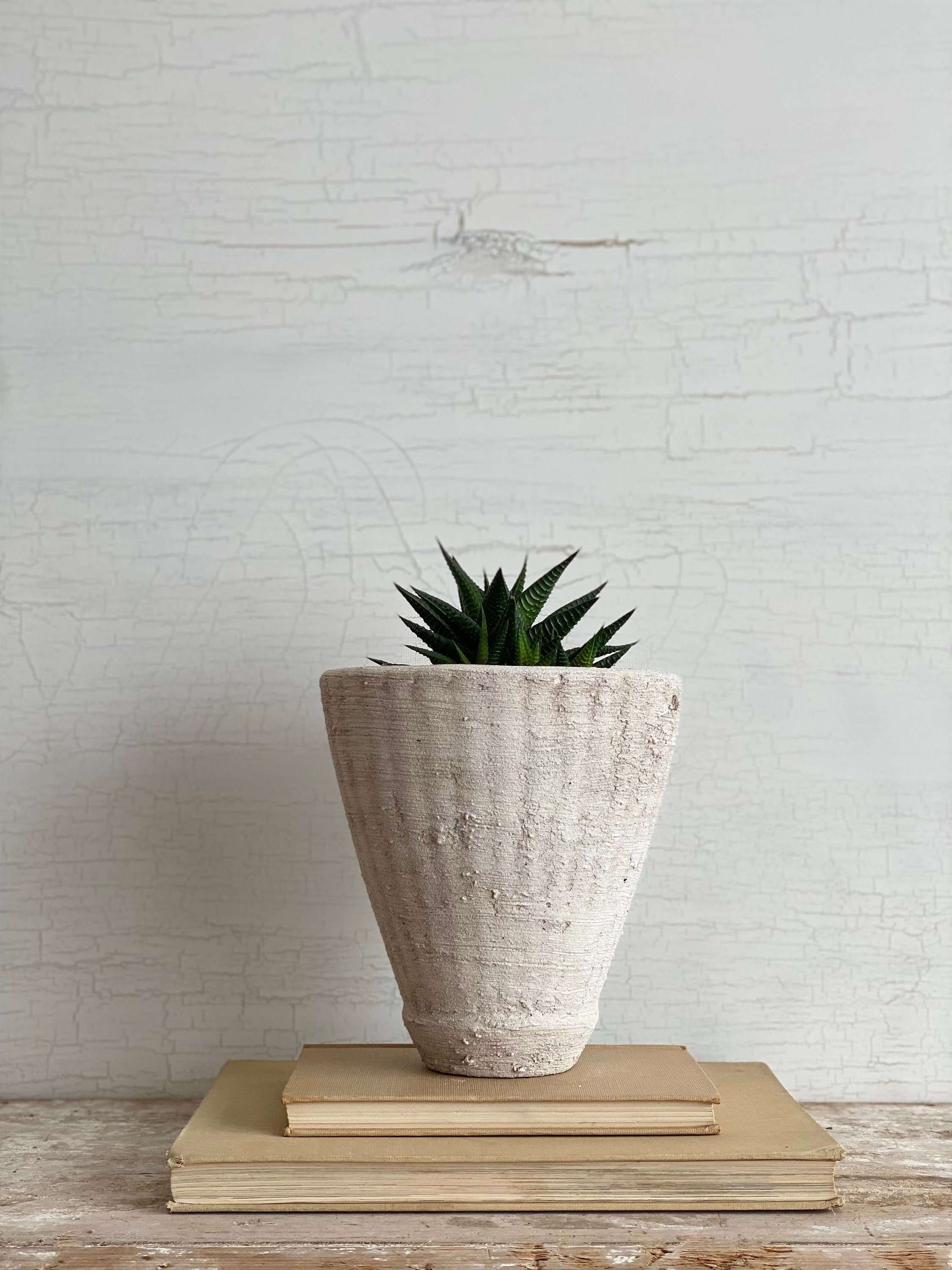 Jardinière Rustique de 7, 5 Haut, Jardinière Artisanale, Blanche, Vase Texturé en Pierre, Récipient