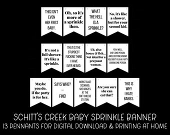 Schitt’s Creek Baby Sprinkle Printable Banner | 13 Pennants for DIY Garland | Digital Download | Bunting | David Rose | Baby Shower Decor