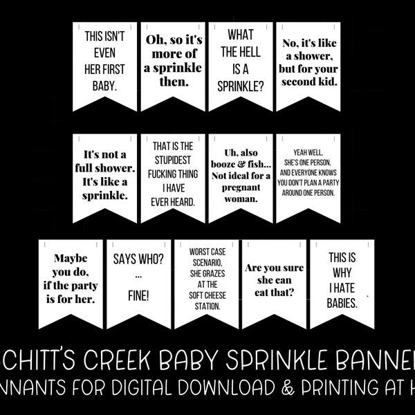 Schitt’s Creek Baby Sprinkle Printable Banner | 13 Pennants for DIY Garland | Digital Download | Bunting | David Rose | Baby Shower Decor