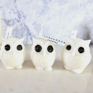 Owl Autumn Candle Set