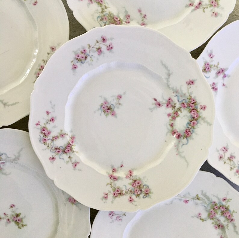 6 Limoges Salad Plates by Theodore Haviland/pink Rose With Etsy