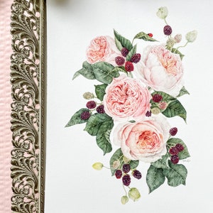 Sweet Juliet, Juliet Rose Print, WATERCOLOR, Home Decor, Botanical Florals, Watercolor Roses, Blackberries