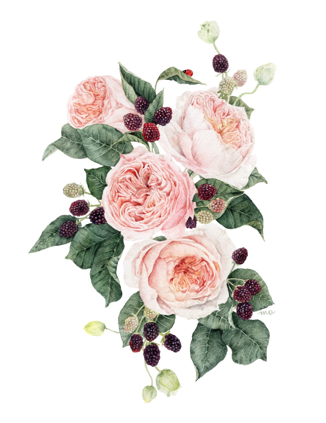 Sweet Juliet Juliet Rose Print WATERCOLOR Home Decor Etsy