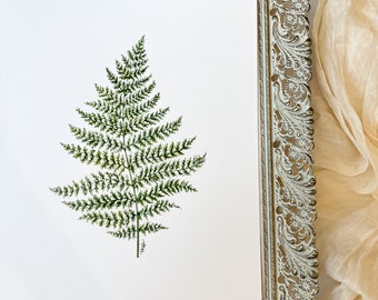 Fern Leaf WATERCOLOR Print, Botanical Painting, Handmade, Home Decor, ART PRINT, Minimalist Art