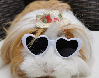 Pet sunglasses Guinea Pig Cat Rabbit Animal Small Dog Heart Glasses Kitten Halloween