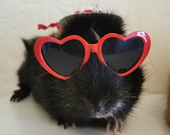 Lunettes de soleil pour animaux de compagnie, cochon d'inde, chat, lapin, Animal, petit chien, cœur, amour, rouge, noir