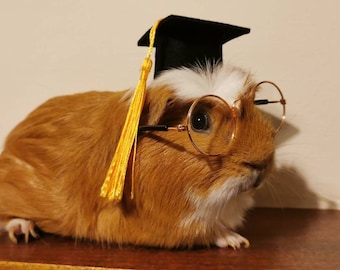 Graduation Small Animal Hat glasses Guinea Pig Outfit Rabbit Hamster Rat Festival Costume Cap Cat Baby Dog Cat Bunny