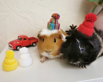 Cute Guinea Pig Winter Wool Hat Red White Photo Prop Mouse Hamster Chinchilla Pet Small Animal Halloween