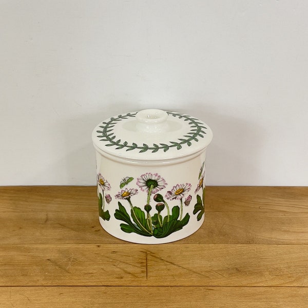 Portmeirion Botanic Garden Lidded Drum Shaped Sugar Bowl, Daisy (Bellis Perennis) Lidded Jar, Made in England (No Spoon Cut Out)