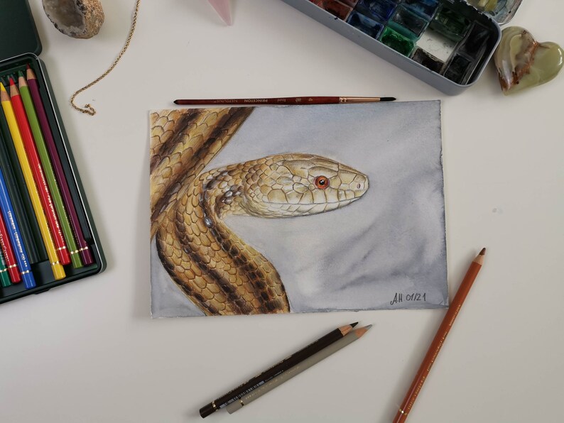 Outlet Onlineshop Snake Origional Drawing Watercolour And Coloured Pencil 17x24m Buy Cheap Folstop Com