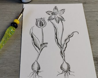 Tulips - Ink Illustratoin - 24x17cm