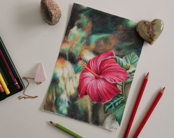 Coloured pencil red flower - origional art 24x17cm