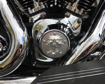 Puede incluir: Primer plano de un motor de motocicleta cromado con un diseño de calavera y llamas en la tapa del motor.