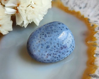 Blue Coral Tumblestone