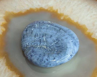 Natural Blue Coral Palmstone