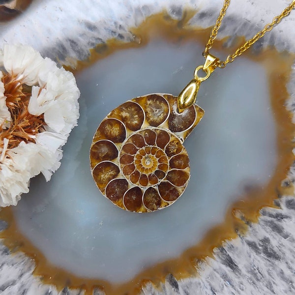 Pendentif ammonite naturelle