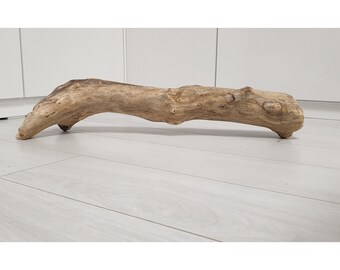 Solid Large Beautiful driftwood piece in interesting form - Found in freshwater, suitable for aquarium and tetarium