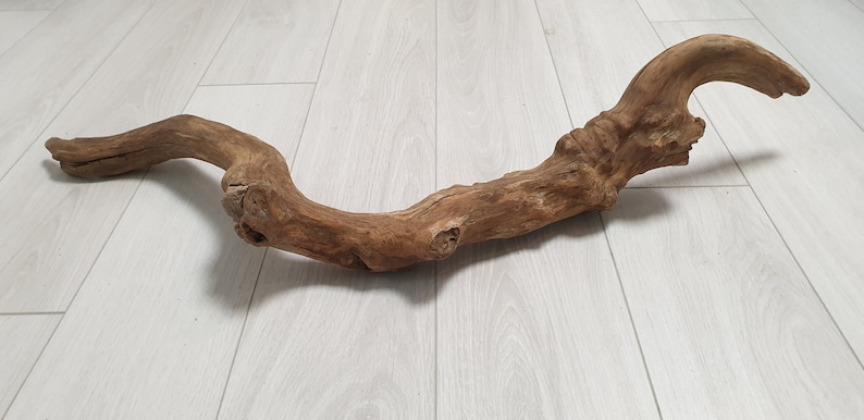 74 cm Driftwood Piece with an interesting form with stone 29