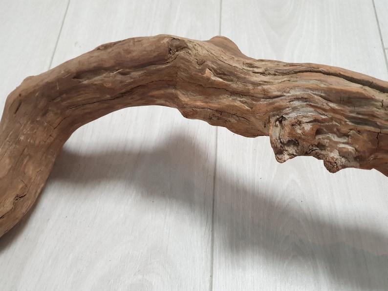 74 cm Driftwood Piece with an interesting form with stone 29