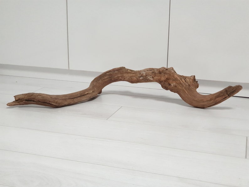 74 cm Driftwood Piece with an interesting form with stone 29