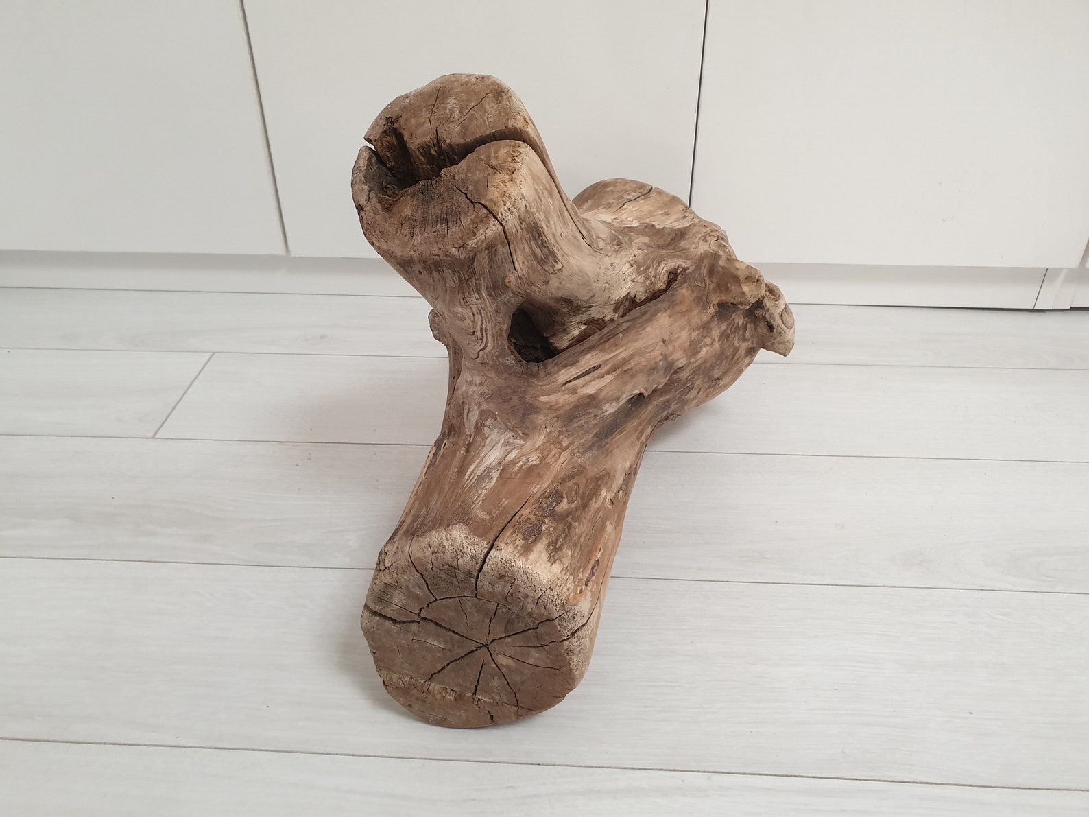 5.2 Kg Absolute Unique Stump Log A Beautiful Piece of Stump | Etsy