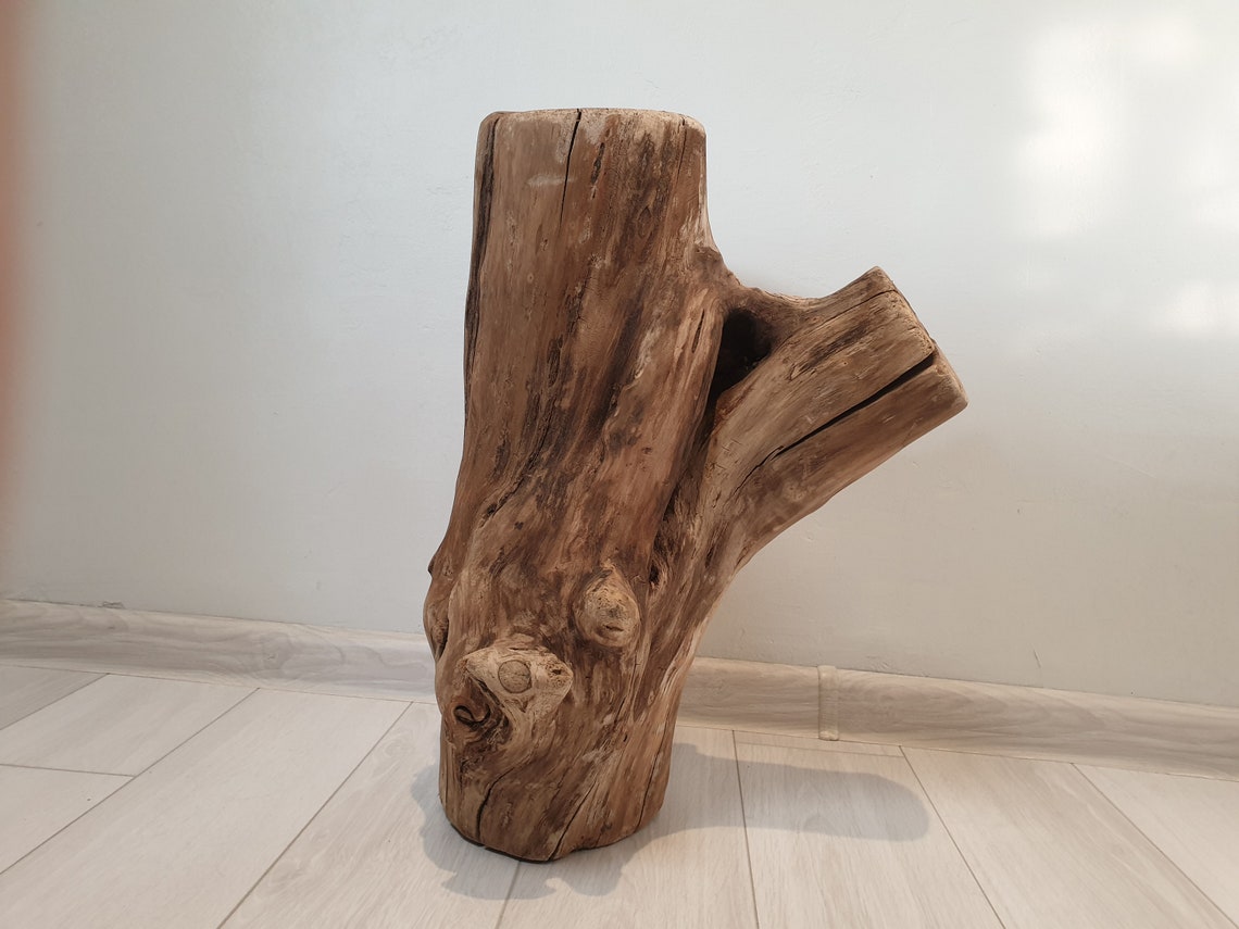 5.2 Kg Absolute Unique Stump Log A Beautiful Piece of Stump | Etsy