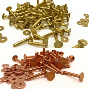 May include: A pile of brass and copper rivets with washers. The rivets are about 1 inch long and have a flat head. The washers are round and have a hole in the center.