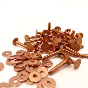 May include: A pile of copper-colored metal rivets and washers. The rivets have a round head and a long shank. The washers are round and flat.