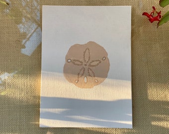 Sand Dollar Painting, Beach Creature, Sea Shells, Canvas Wall Art