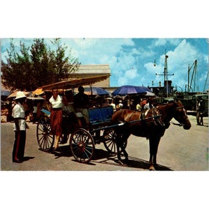Vintage 1964 Nassau Bahamas Horse Carriage Postcard wysłany do Waszyngtonu DC ze znaczkiem